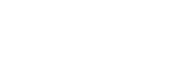 Lynn Lead Generation logo