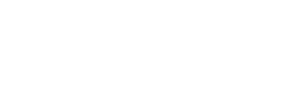 National Commerce logo
