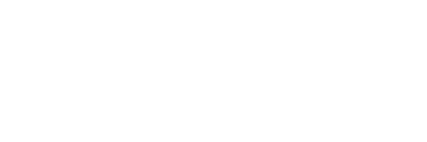 Pleiades Consultancy logo